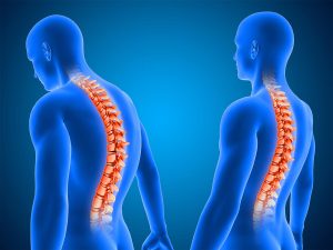 Top 9 Daily Habits That Protect Your Spine and Joints